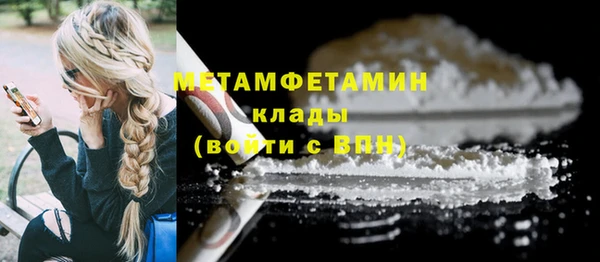 сатива Бородино