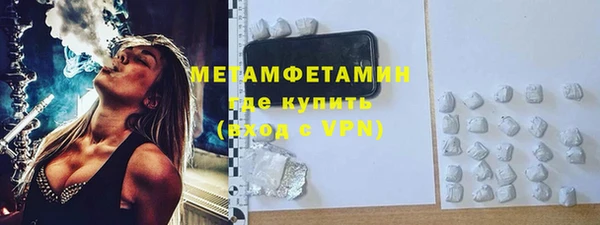 прущие грибы Вязники