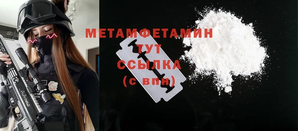 прущие грибы Вязники