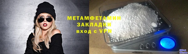 индика Вяземский
