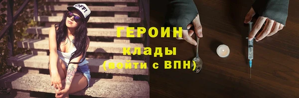индика Вяземский