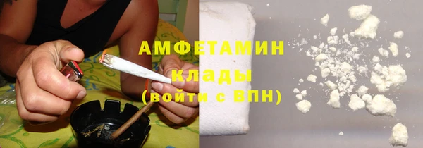 индика Вяземский