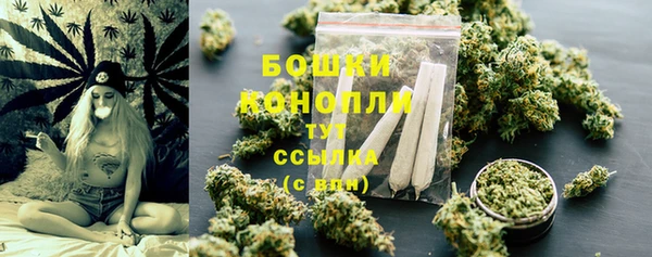 прущие грибы Вязники
