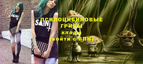 прущие грибы Вязники