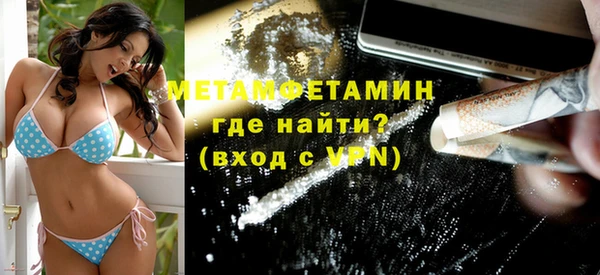 индика Вяземский
