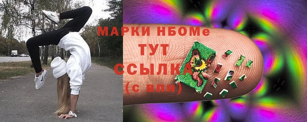 индика Вяземский