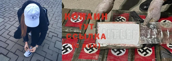 индика Вяземский