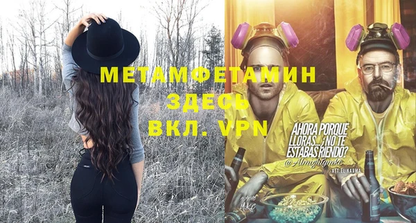 прущие грибы Вязники