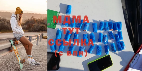индика Вяземский