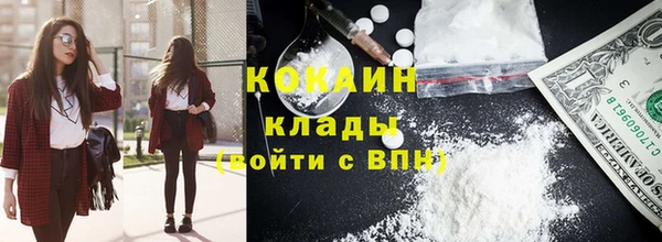 индика Вяземский