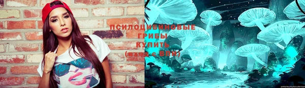 индика Вяземский
