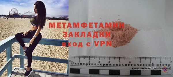 прущие грибы Вязники