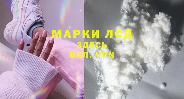 индика Вяземский