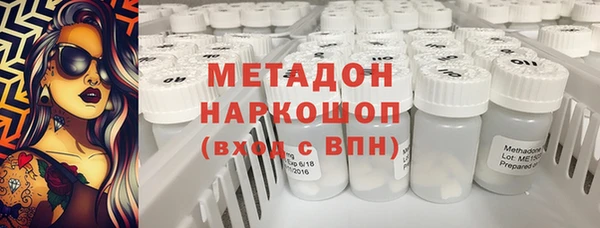 прущие грибы Вязники