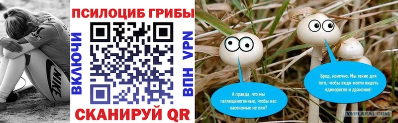 Псилоцибиновые грибы ЛСД наркотики Дегтярск