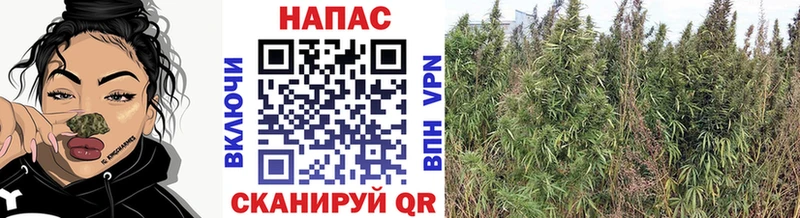 Каннабис THC 21%  Дегтярск 